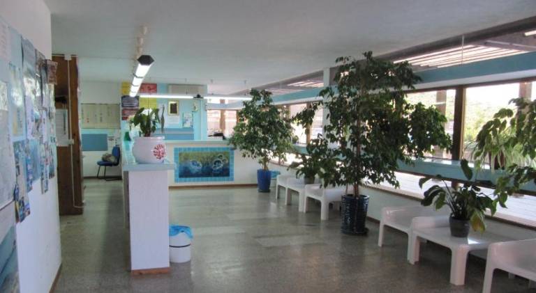 Serviced apartment with garden & patio | Dogs allowed — photo 5