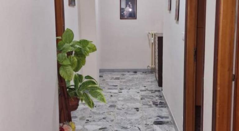 foto8