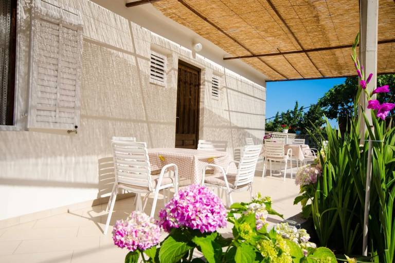 Apartman Molunat