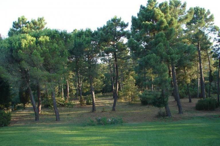 foto11