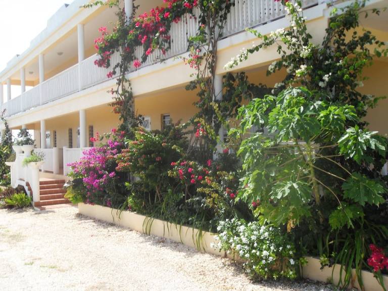 Apartment Mount Fortune