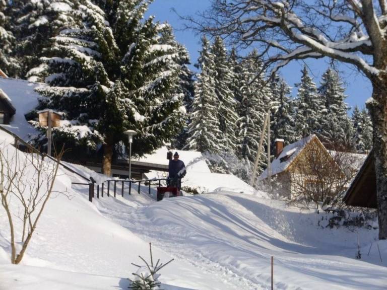 Family-oriented charming vacation home with patio, garden & barbeque | Mountain view | Pet-friendly — photo 4