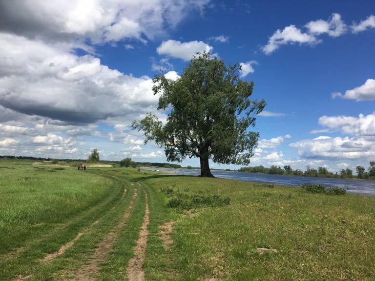 foto20