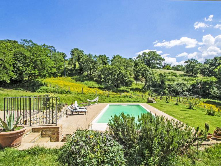 House with barbeque, terrace & private pool | Nature view | Pet-friendly — photo 3