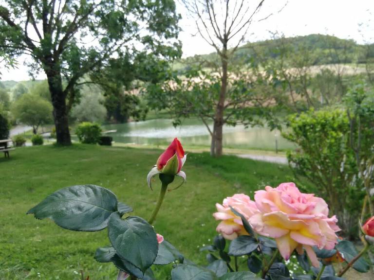 Chalet Tournon-d'Agenais