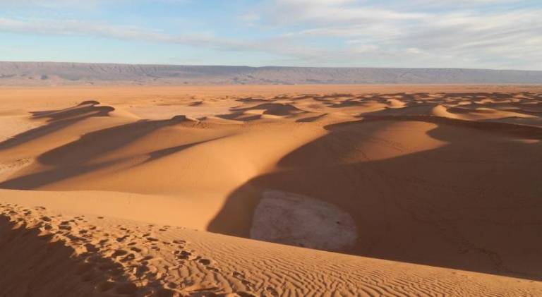 Bivouac Dune Iriki — photo 5