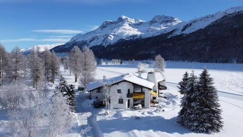 Holiday apartment with barbeque, garden & terrace in Sils im Engadin-Segl