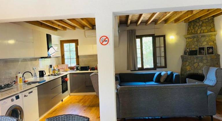 Fully equipped villa with barbecue, private pool & terrace | Good for workation | Dogs allowed — photo 4