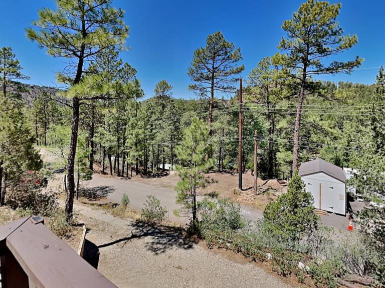 Knotty Pines Cabin — photo 3