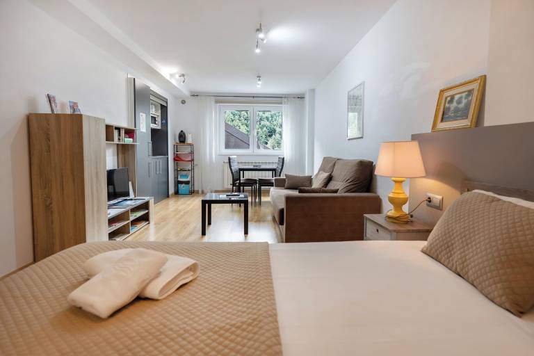 Apartament Arinsal