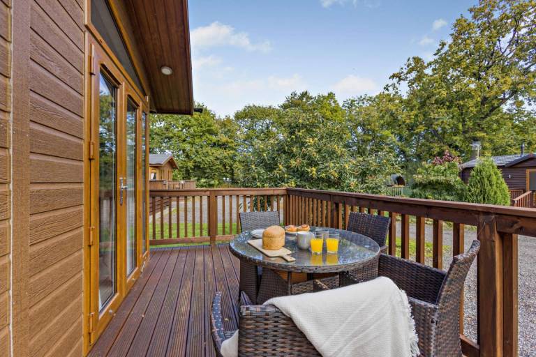 Fully equipped lovely lodge with patio, jacuzzi & yard | Dogs allowed — photo 5
