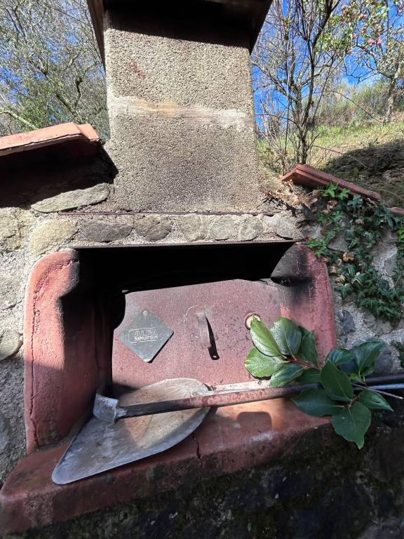 foto43