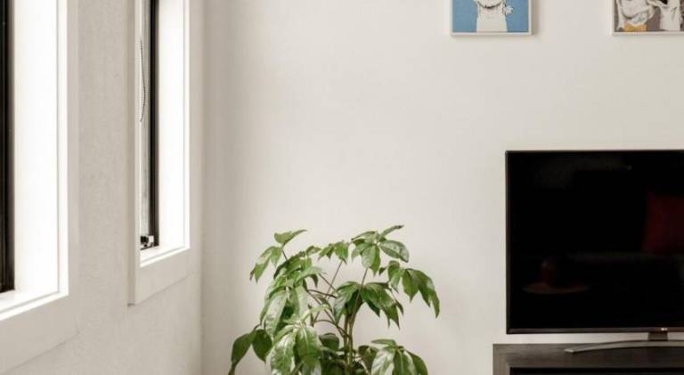 foto22