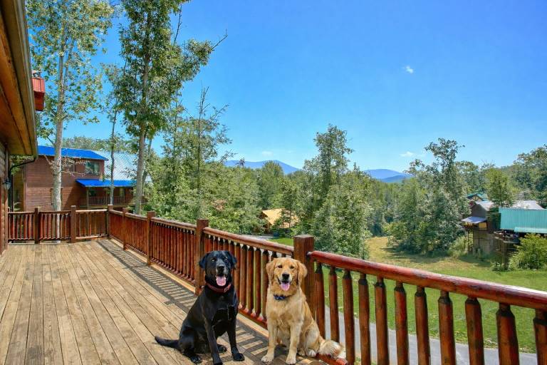 Diamond In the Rough: Mtn Views, Theater, Hot Tub in Gatlinburg, TN