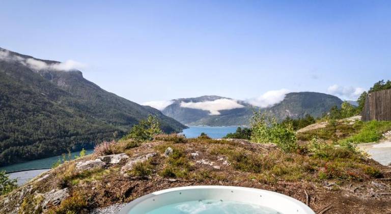 The Sognefjord Cabin — photo 5