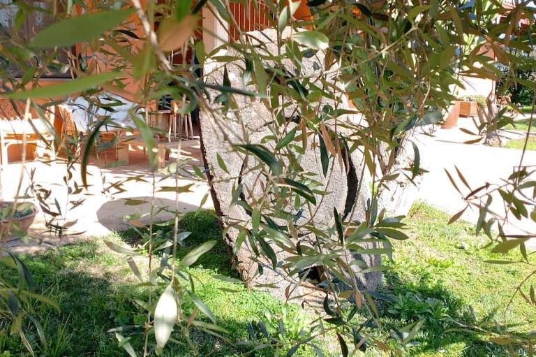 Bed & Breakfast  Siamaggiore
