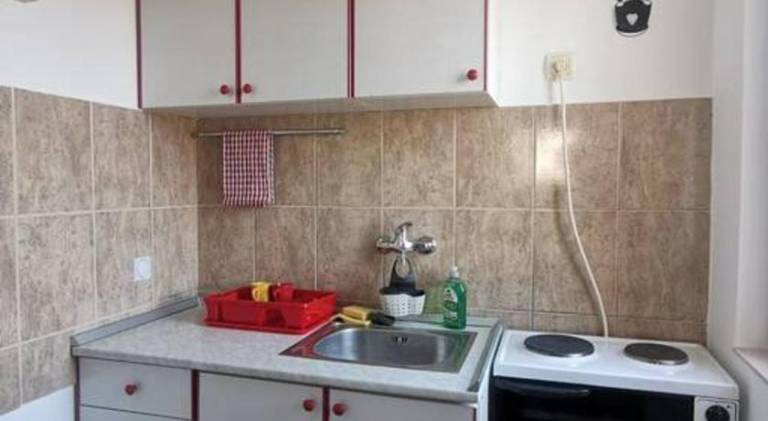Rental apartment | Pets are welcome — photo 3