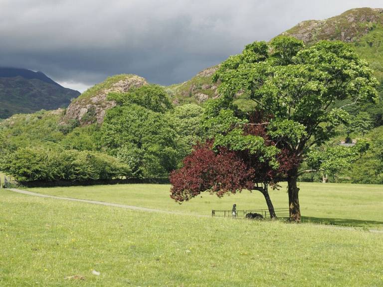 Cottage Beddgelert