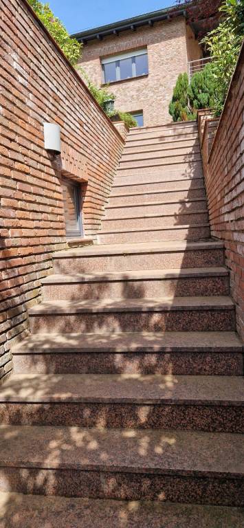 foto19