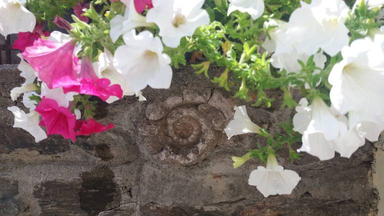 Appartamento Levico Terme