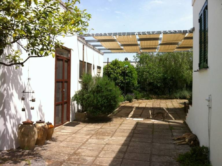 foto8