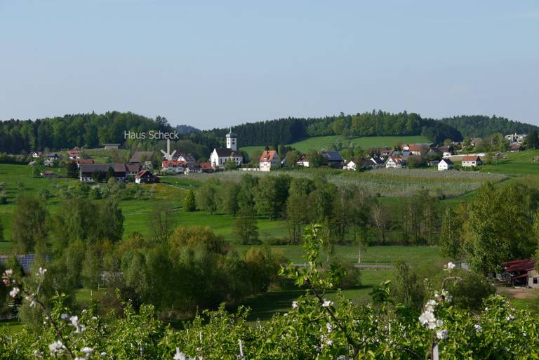foto10