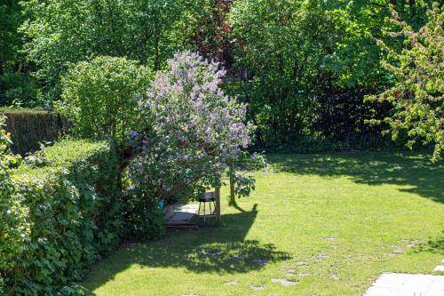 foto9