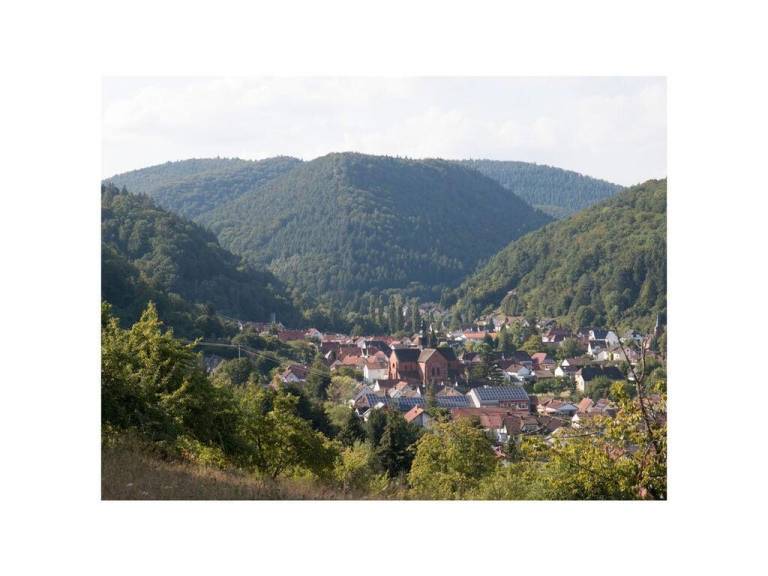 foto49