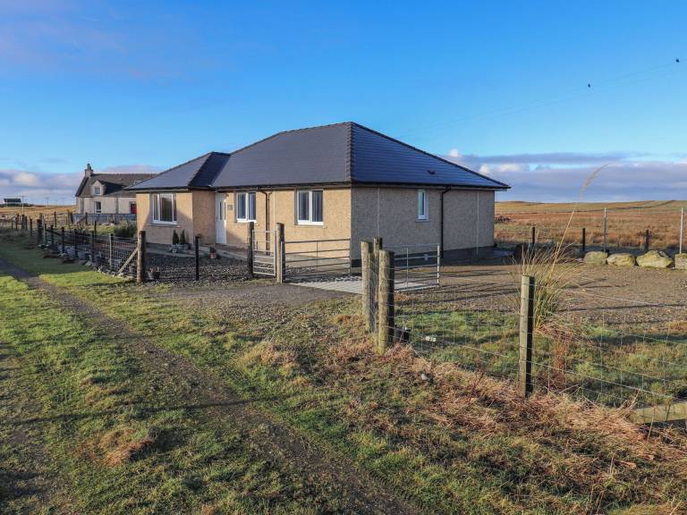 Cottage Snishival