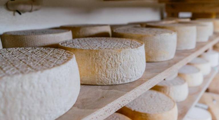 Bed and breakfast  Wierzchowiska Drugie