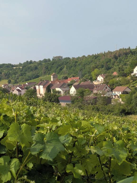 Maison de vacances  Pommard