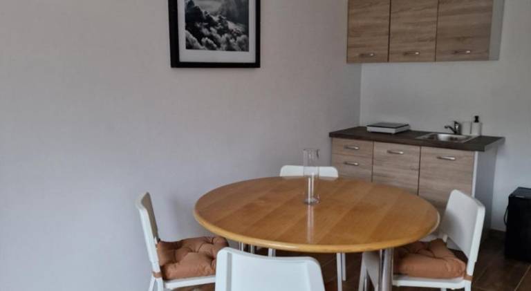 Rental apartment with sauna, garden & patio — photo 3