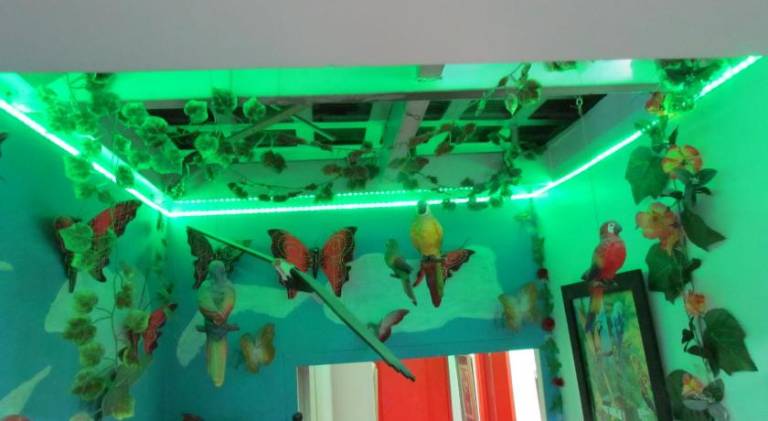 foto13