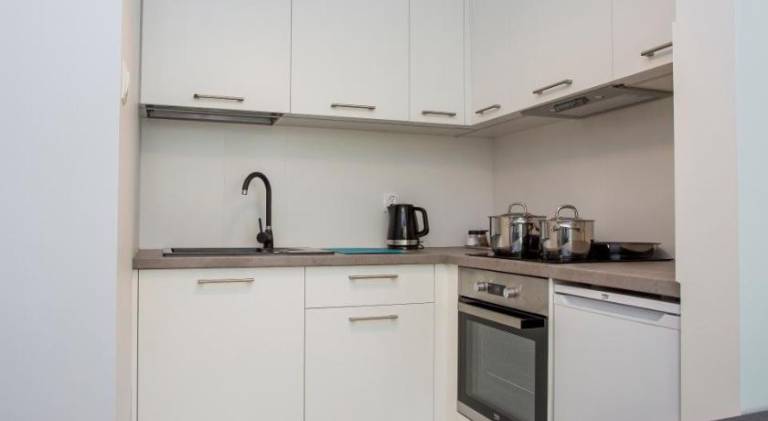 CR Kameralny Apartament przy Palacu Branickich — photo 4