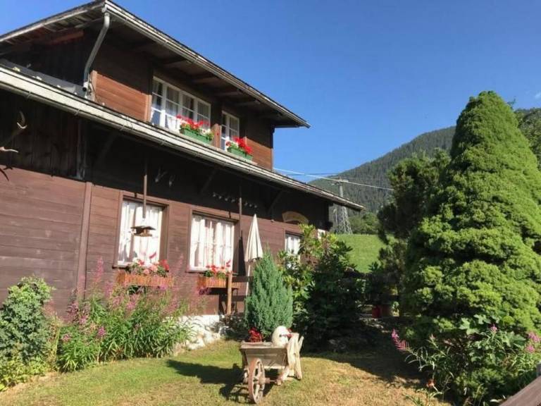 foto1