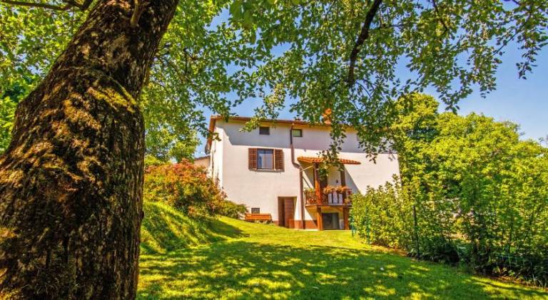 Apartma  Dornberk