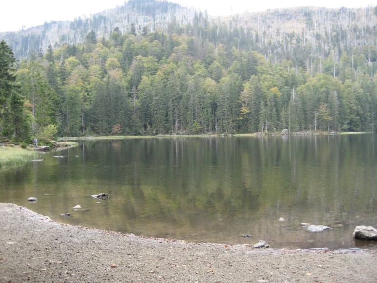 foto13