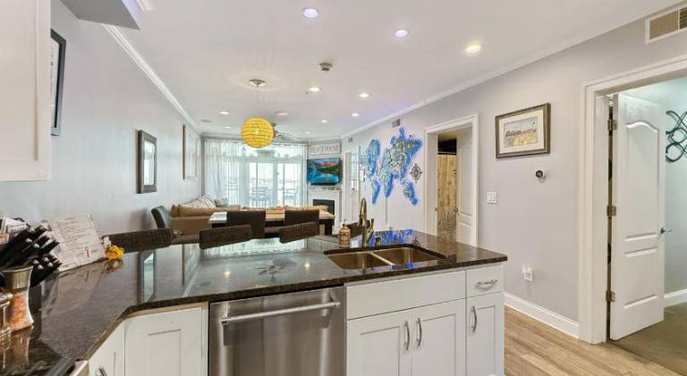 Luxurious Penthouse, King beds. Dog & ADA Friendly — photo 5
