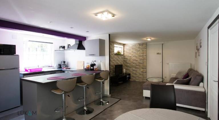 Rental apartment with 1 room for 4 persons in Sélestat