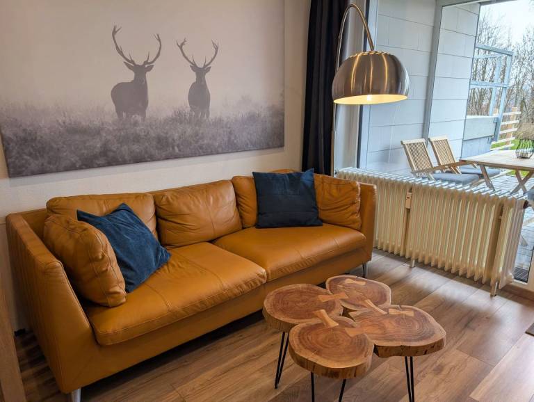 Holiday apartment Harz Sankt Andreasberg with terrace & view View of Glockenberg — photo 3