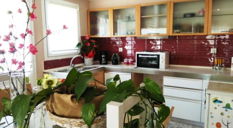 Beautiful rental apartment | Pets allowed — photo 3