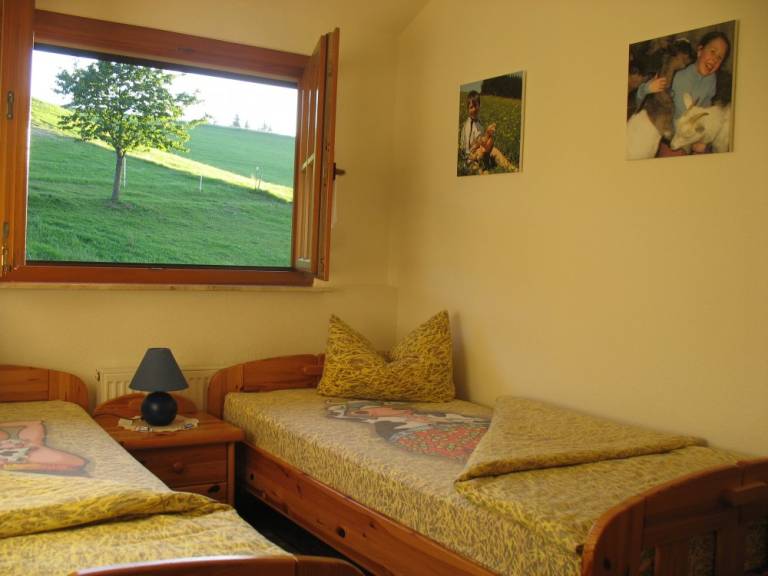 foto4