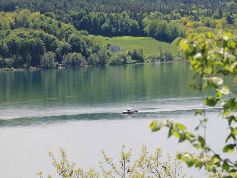foto28