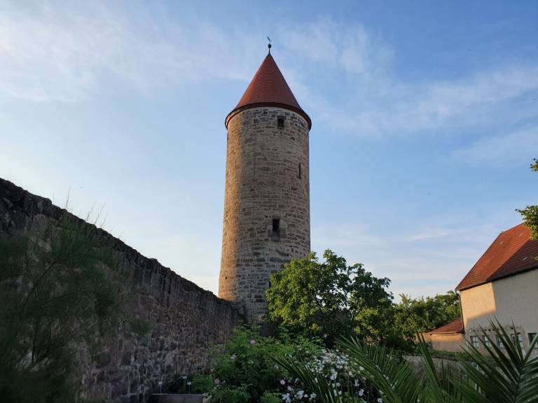 foto23
