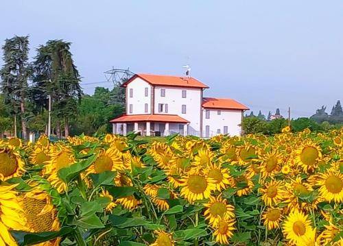 Bed & Breakfast  Monteveglio