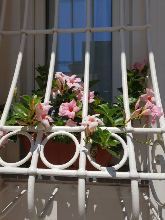 foto18