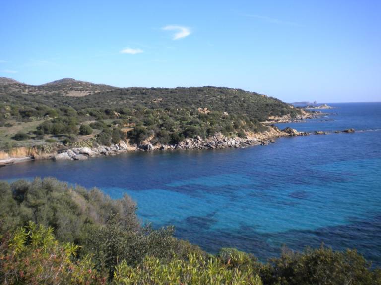 foto1
