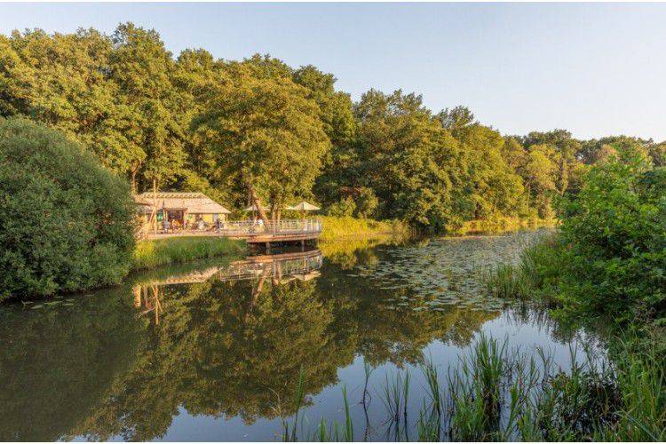 Chalet Beerze
