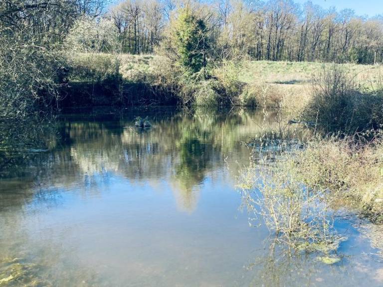 Luxury cottage with heated pool and SPA in the heart of the Loire Valley — photo 4