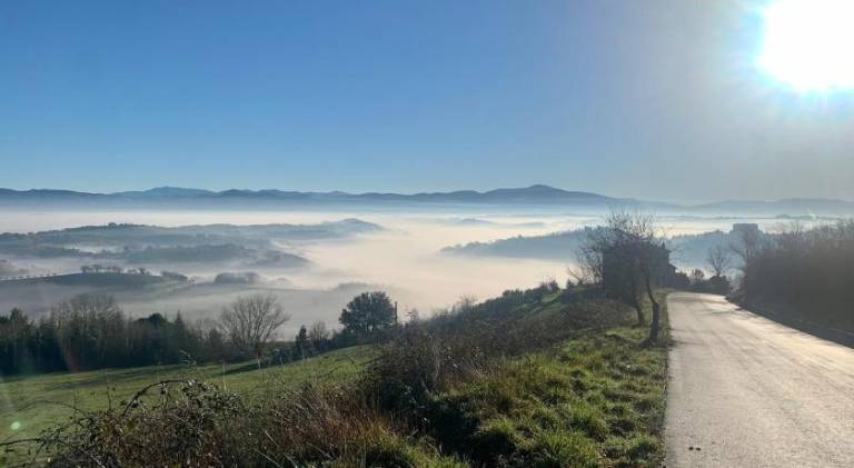 foto43